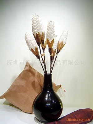 家居美學(xué)新藍(lán)海 高端植物干花與仿真花區(qū)域代理招募計(jì)劃